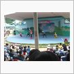 おサルの公園に行ってきました。