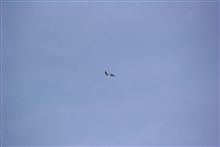 今日の職場上空～