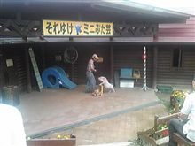 ぶたたべた