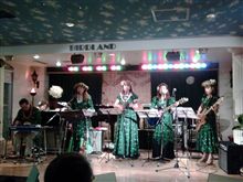 Hawaiian Music@Birdland