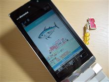 カツオ、釣れました～!!