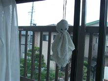 お願い！！雨降らないでｗｗ