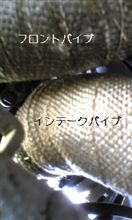 またまた巻いてみた