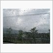 雨も降る、心も鼻水がでる。