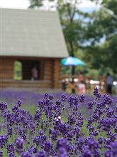 ７月に６月にやったことでも書いてみるか（汗