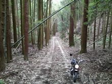《モンきち》 復習♪ 《モンきち》 復習♪