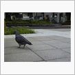 ２日おぱや～