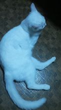 光の錯覚!?①