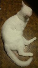 光の錯覚!?③