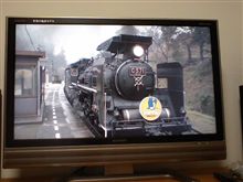 鉄道にどっぷりと…