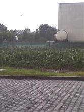 激しい雨。 