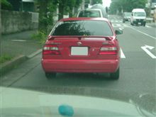 また探し物、びっくり遭遇