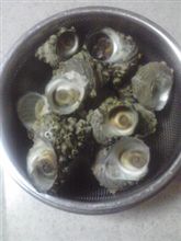 壺料理
