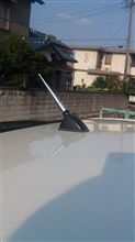 新しいツノ