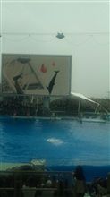 名古屋港水族館へ行ったど～