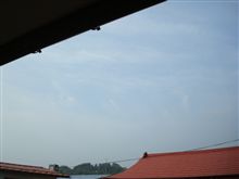 ７月６日　いい天気な月曜の朝、おはです～♪