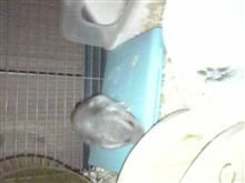 どんびえ～～って、あったよね？