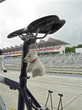イロイロと雑記