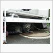 ７月７日　七夕
