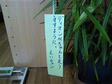 短冊に願いを込めて♪