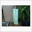 短冊に願いを込めて♪
