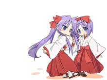 今日は七夕