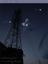 ▽七夕Night