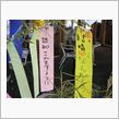 タナバタ、忘れていたでござる ...