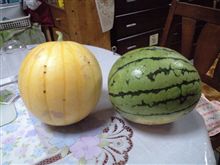 夏近し