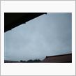 ７月９日　雨降りで涼しげな木 ...