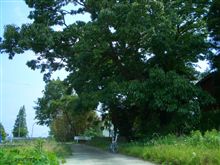 限りなくゼロに近かった、６月の自転車走行距離。