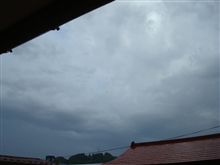 ７月１０日　またもや雨が降ってるラス１金曜日、おはです～♪