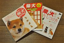 あぁ～こんなに購入しちゃいましたよ♪