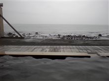 別府温泉 潮騒の宿晴海
