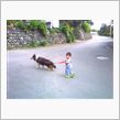 犬が飼いたいらしい