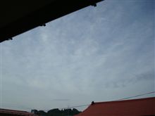 ７月１１日　久々に晴れ間の見える土曜日の朝、おはです～♪