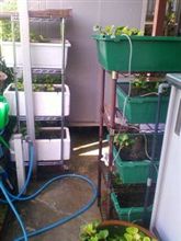 本日にて~終了