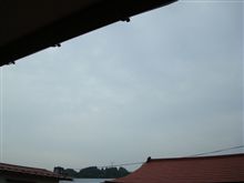 ７月１２日　薄雲りな日曜の朝、おはです～♪