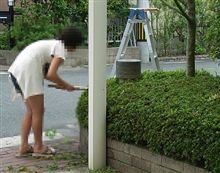 交代♪(&#180;-ω-｀;)ゞﾎﾟﾘﾎﾟﾘ 
