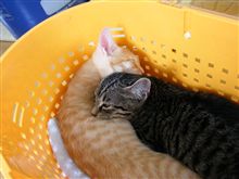 はじめまして！
