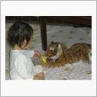 ヤギを飼う前の練習？