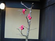 高山にぶらり旅～
