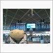 ぶらぶら♪飛んでみる(^o^)