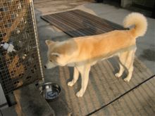 やっぱり、酌みたて？