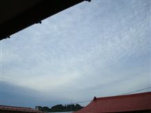 ７月１４日　涼しいというよりちょっと肌寒い朝、おはです～♪