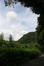 墓参