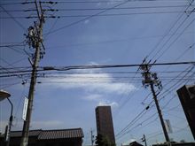 いよいよ夏ですね～♪