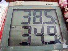 今日の気温！