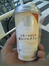出張徒然(０９．７．１５)
