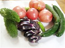 野菜収穫～♪（*＾＾*）